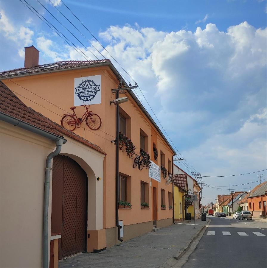 Penzion - Cykloubytovani U Rasku Dolní Dunajovice المظهر الخارجي الصورة